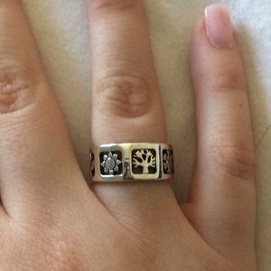 Four Seasons Band Ring